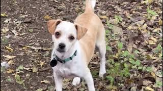 Buddy Head Tilt! Nov 13 2025