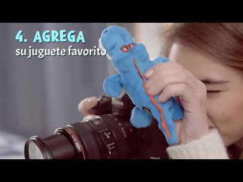 Recetario para Cachorros Felices – Tips para fotos únicas - Ganador®