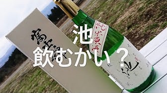 グビ姉 Youtube グビ姉 Youtube