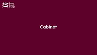 Cabinet Meeting - 31 July 2026