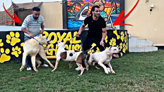 زرت ادهم صاحبي ف مزرعة تحداني ب 20 كلب😱\ كلب هدية للمتابعين🐶