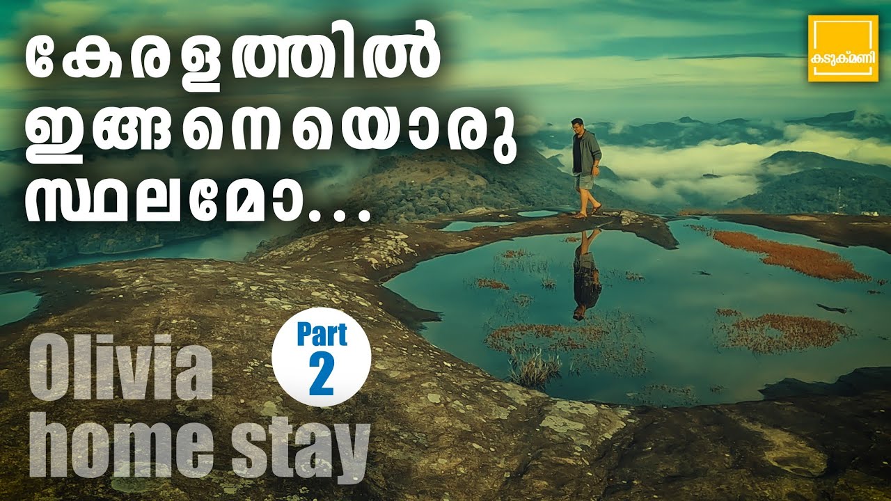 Idukki tourist places/Forest stay in idukki/home stay in idukki/Budget friendly home stay in idukki