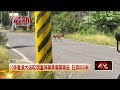 彰化13歲男童遭10多隻浪犬追咬　摔車狂奔800米逃命