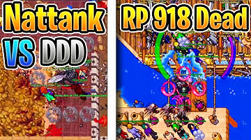 Nattank sola Ddd, Royal Paladin 918 fragado em Hardcore Pvp - Tibia #GameLab