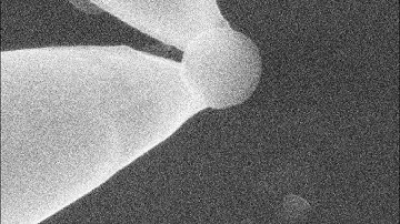 Manipulating 400 nm speheres