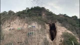 Bats Leaving Phnom Sampov Cave