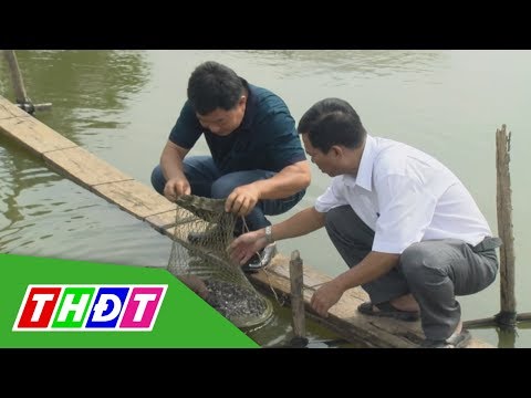 Video Mô hình nuôi cá lăng nha của anh nông dân Trương Văn... - youtube