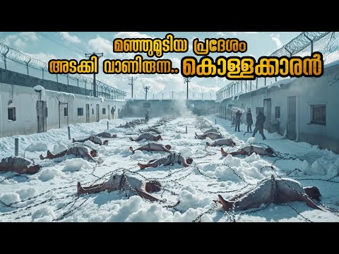 ക്രൂരനായ കൊള്ളക്കാരൻ ; അവനെ കൊല്ലാൻ പോകുന്നത് ഉയരം കുറഞ്ഞ ഒരു മനുഷ്യൻ #malluexplainer