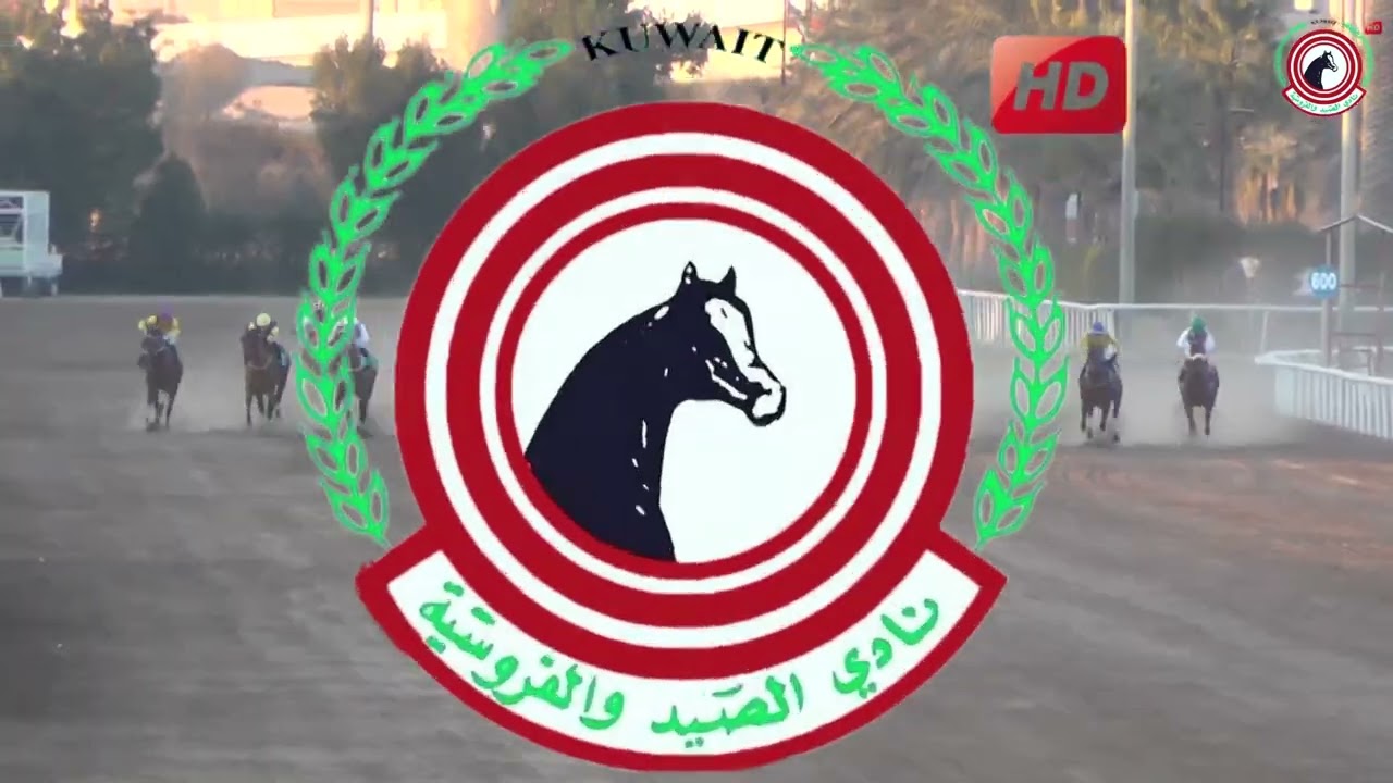 الاجتماع ( 16 ) الشوط ( 6 ) الجواد / معاذ / اسطبل / الحمدان