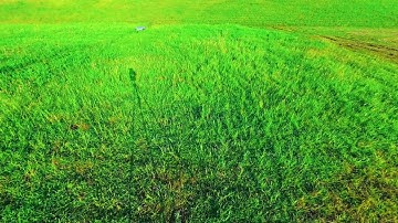 Apollo Turfstorm | Fully Autonomous Mowing for Large Areas 🌿🤖