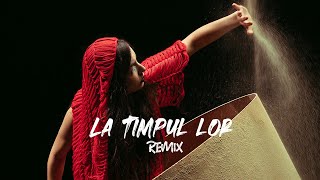 DJ Project feat. EMAA - La Timpul Lor (Dj Dark \& Mentol Remix)