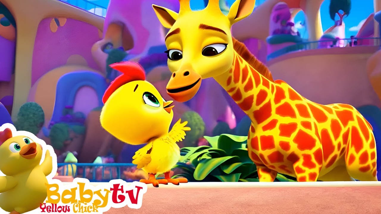 Little Chick Goes to the Zoo 🐥🦁🎶Nursery Rhymes Kids Songs 🎶