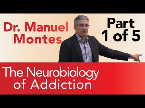 Dr. Montes: Neurobiology of Addiction Part 1 of 5 | The Treatment Center