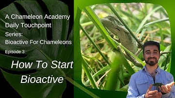 Starting Bioactive with Chameleons