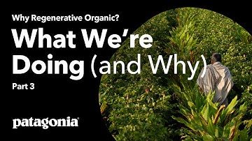 Why Regenerative Organic? | Part 3: What We’re Doing (and Why)