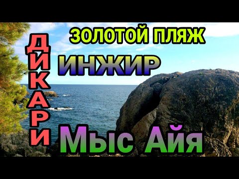 мыс айя, инжир, Крым мыс