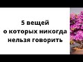 5 вещей о которых никогда нельзя говорить.