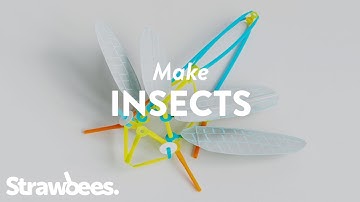 Create a Winged Insect by Strawbees
