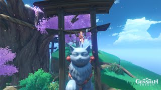 Every Traveler after Finishing Neko Statue Quest | Genshin Impact |