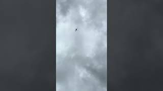 🚁 Trực thăng cứu hộ Nhà nước cất cánh từ Gia Lâm – Bay khẩn cấp giải cứu dân vùng lũ Thái Nguyên!
