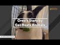 Woman spends months convincing adopted bunny to cuddle her