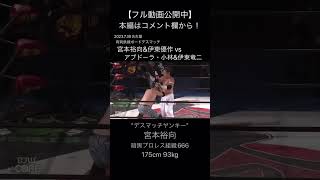 【Deathmatch】頭に有刺鉄線!!鉄のとげが頭皮に食い込む…【大日本プロレス】 #shorts