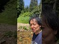 尾花沢・山刀伐峠の手前の沢