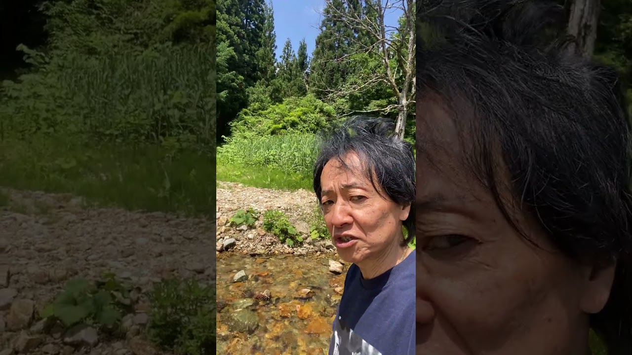 尾花沢・山刀伐峠の手前の沢