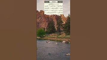 سورة التكاثر #قرآن_كريم #المصحف #alquran #اكسبلور