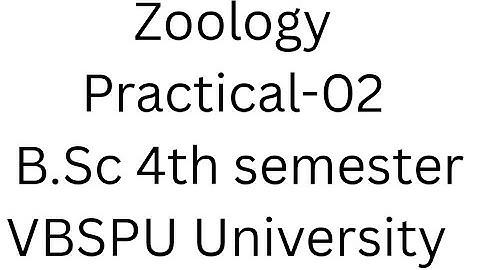 Zoology practical record file BSc 4th semester VBSPU