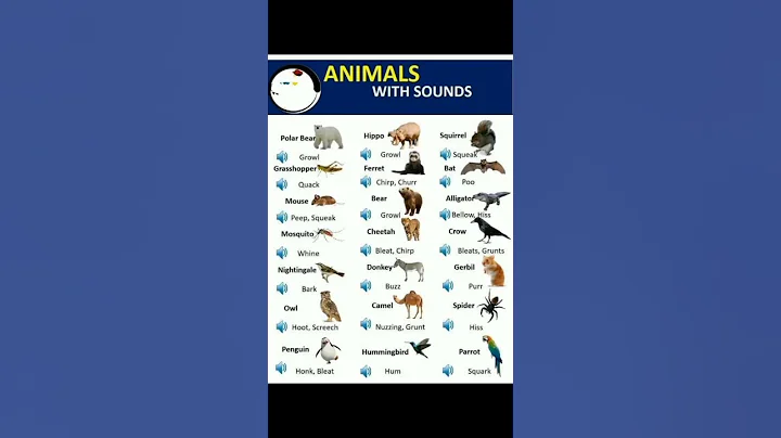 Animal Sounds Vocabulary for English Learners #shorts