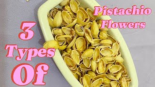 Fabulous idea to make pistachio shell flowers| DIY| Flower, making| Reuse| recycle