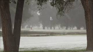 Early First Snow in Texas
