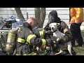 As A House Burns To The Ground, Three Animal Lovers Suddenly Rush Toward The Flames