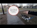 How to Train Mushing Commands