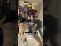 現代アート風刺 TOP 5
