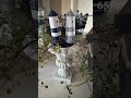 https://minnasdekorationer.se/var