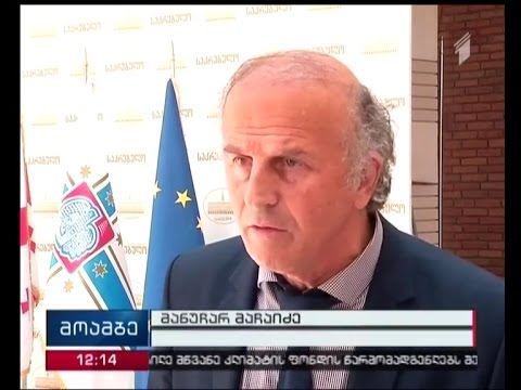 მანუჩარ მაჩაიძემ „პატრიოტთა ალიანსი“ დატოვა