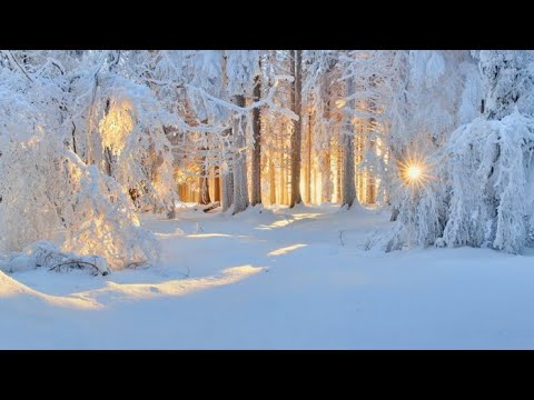 Зимний лес вышивка