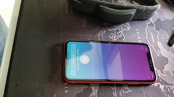 Stream EEG data from Muse headset via Entrain app