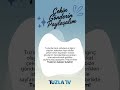 TUZLA TV DE YAYINLAMAK İSTEYECEĞİNİZ VİDEOLARINIZI BEKLİYORUZ...