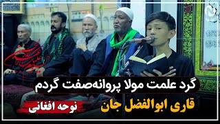 نوحه افغانی؛ گرد علمت مولا پروانه صفت گردم | ابوالفضل محمدی