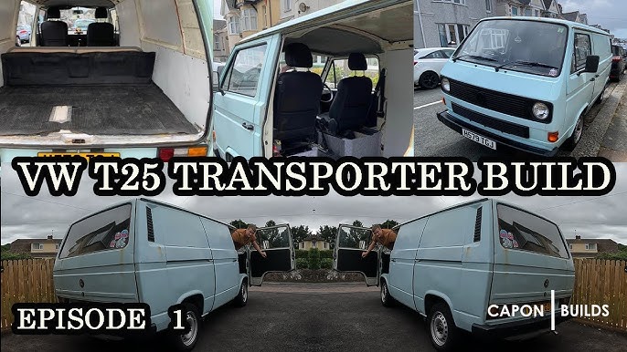 Лесбиянкалар бір-бірінің мысығын жалайды