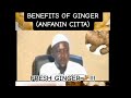 Amfanin citta benefit of ginger sheikh abdulwahab gwani khaleeltrust tv