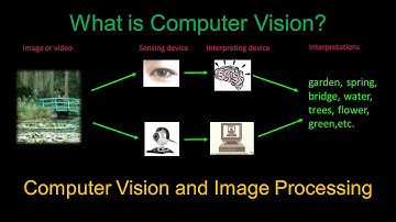 Computer Vision and Image Processing