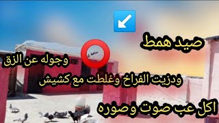 صيد اليوم همط سوقت الفراخ وخلطت بقطعه وصدت طير حبي دبي