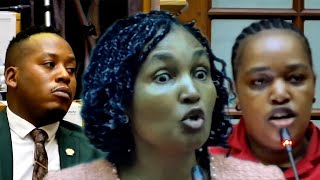 DA And EFF Reject Human Settlement Budget “Minister Simelane Can’t Be Trusted With A Single Rand”