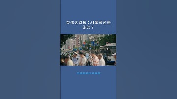 英伟达财报：AI繁荣还是泡沫？：明鏡電視世界簡報20251119