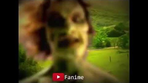 Crazy Rolling Car Crash caught on inside camera (Funny Montage)