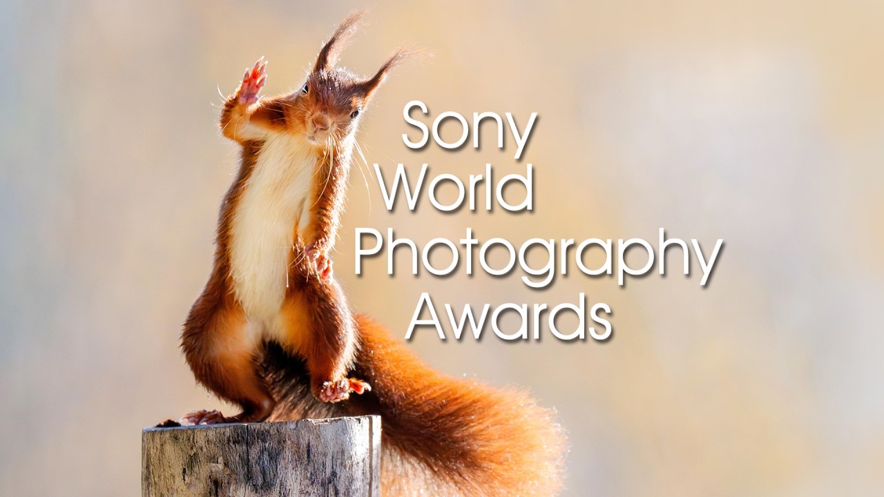 SWPA - Open Natural World & Wildlife 2026